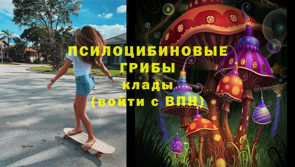 сатива Верхний Тагил