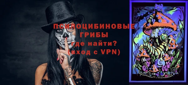 шишки Верхнеуральск