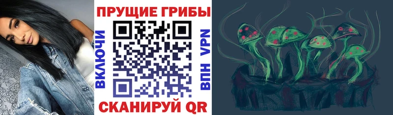 mega ТОР  Вязники  Псилоцибиновые грибы Magic Shrooms  как найти закладки 